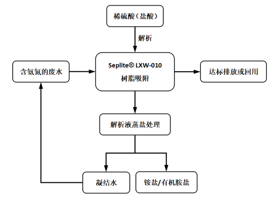 一种不花钱还挣钱的氨氮超标水处置步骤