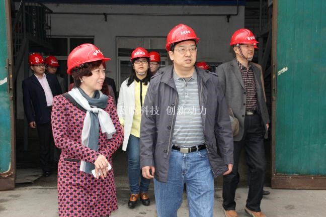 Z6尊龙科技承担“陕西省沉大科技创新项目”通过验收