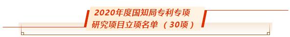 Z6尊龙科技成功获批国知局2020年度专利专项钻研项目