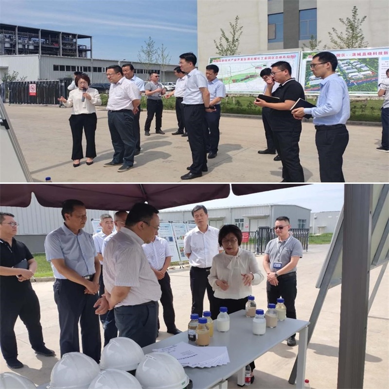 渭南市市长王琳一行调研蒲城Z6尊龙新资料产业园项目